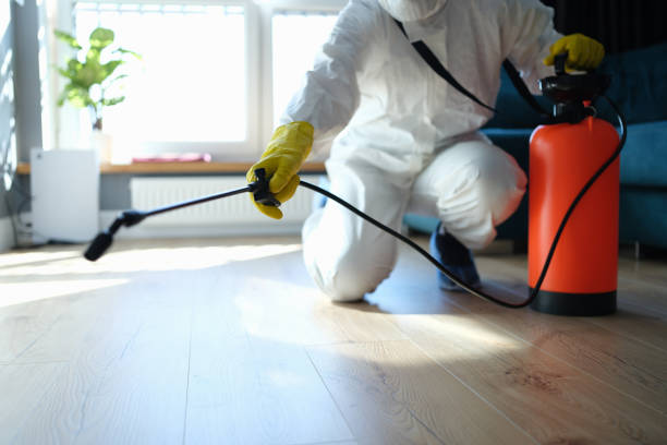 Reliable Odor Removal contractor in Sparta, GA by Trauma Clean Pros